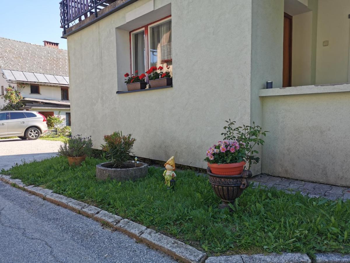 Apartma Rekar - A House, Where You Can Relax In The Embrace Of Nature Jesenice Exterior foto