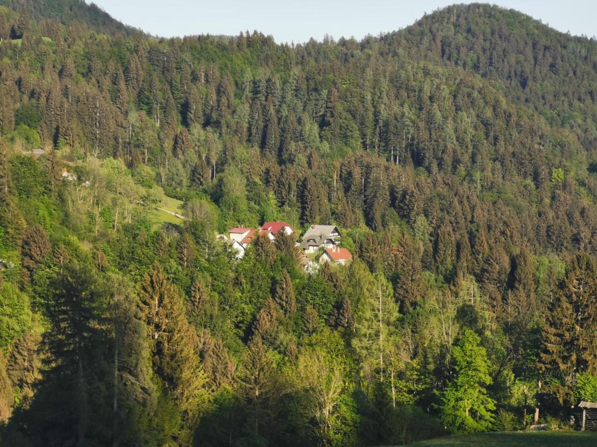 Apartma Rekar - A House, Where You Can Relax In The Embrace Of Nature Jesenice Exterior foto