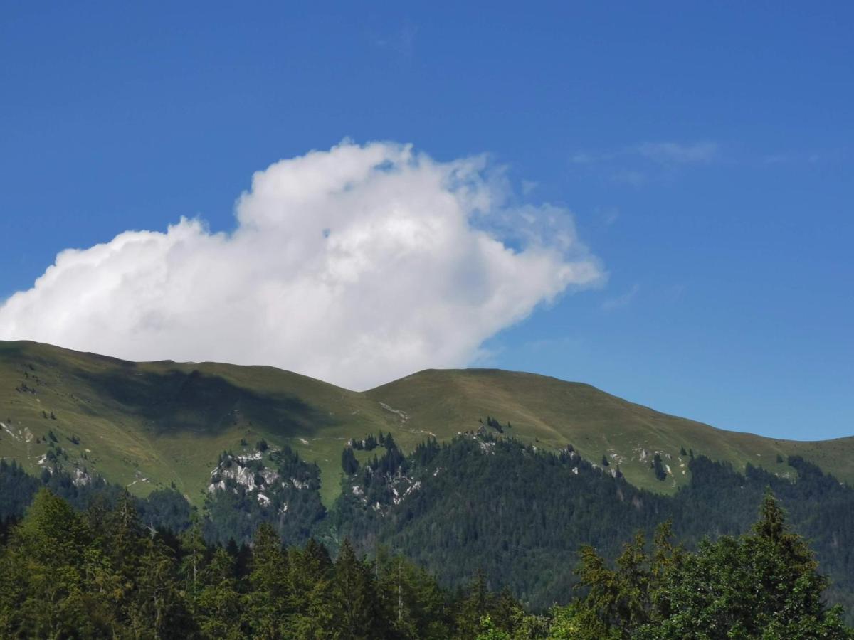 Apartma Rekar - A House, Where You Can Relax In The Embrace Of Nature Jesenice Exterior foto